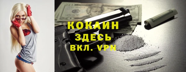 соль ск Алексеевка