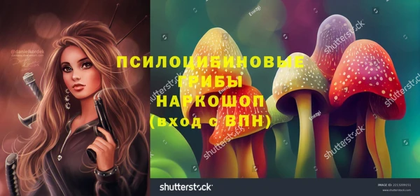 соль ск Корсаков